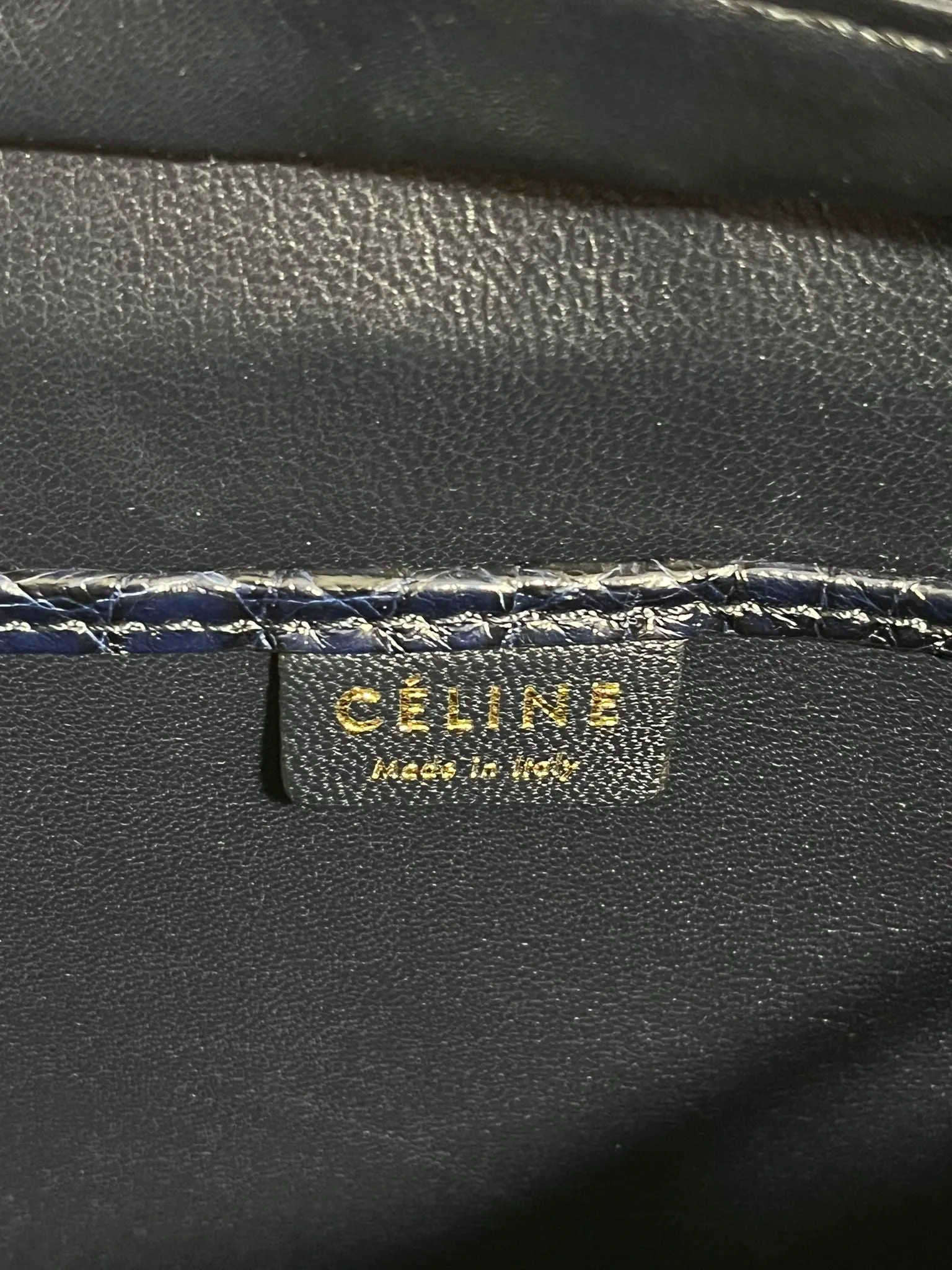 Celine Nano Luggage Bag In Crocodile Skin