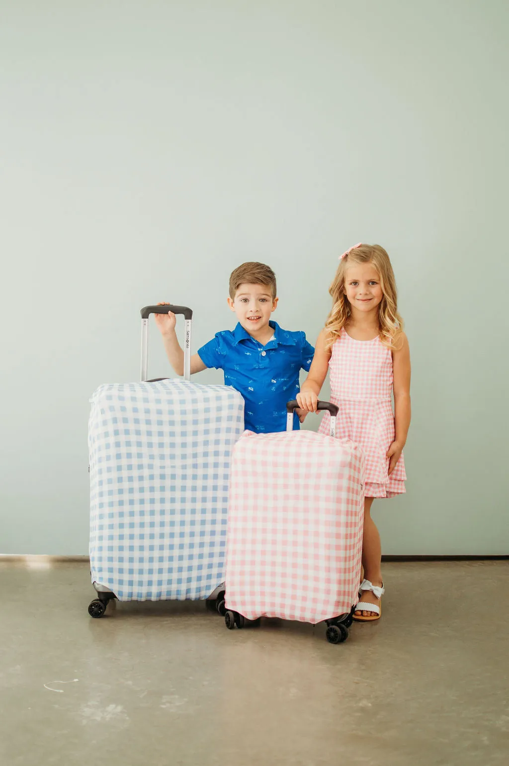 Luggage Cover - Blue Gingham