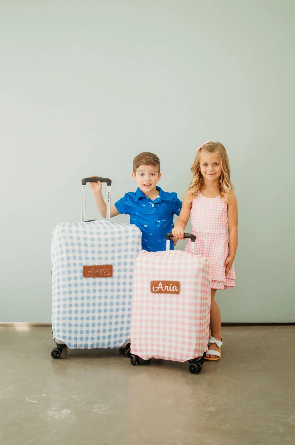 Luggage Cover - Blue Gingham