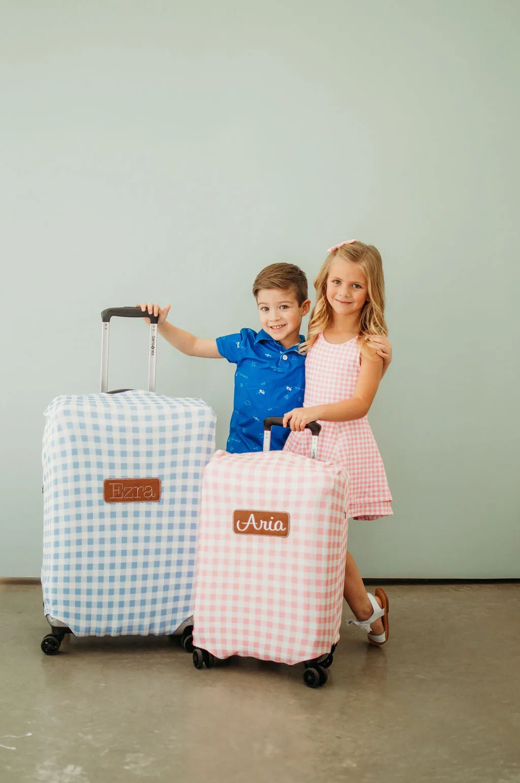 Luggage Cover - Pink Gingham