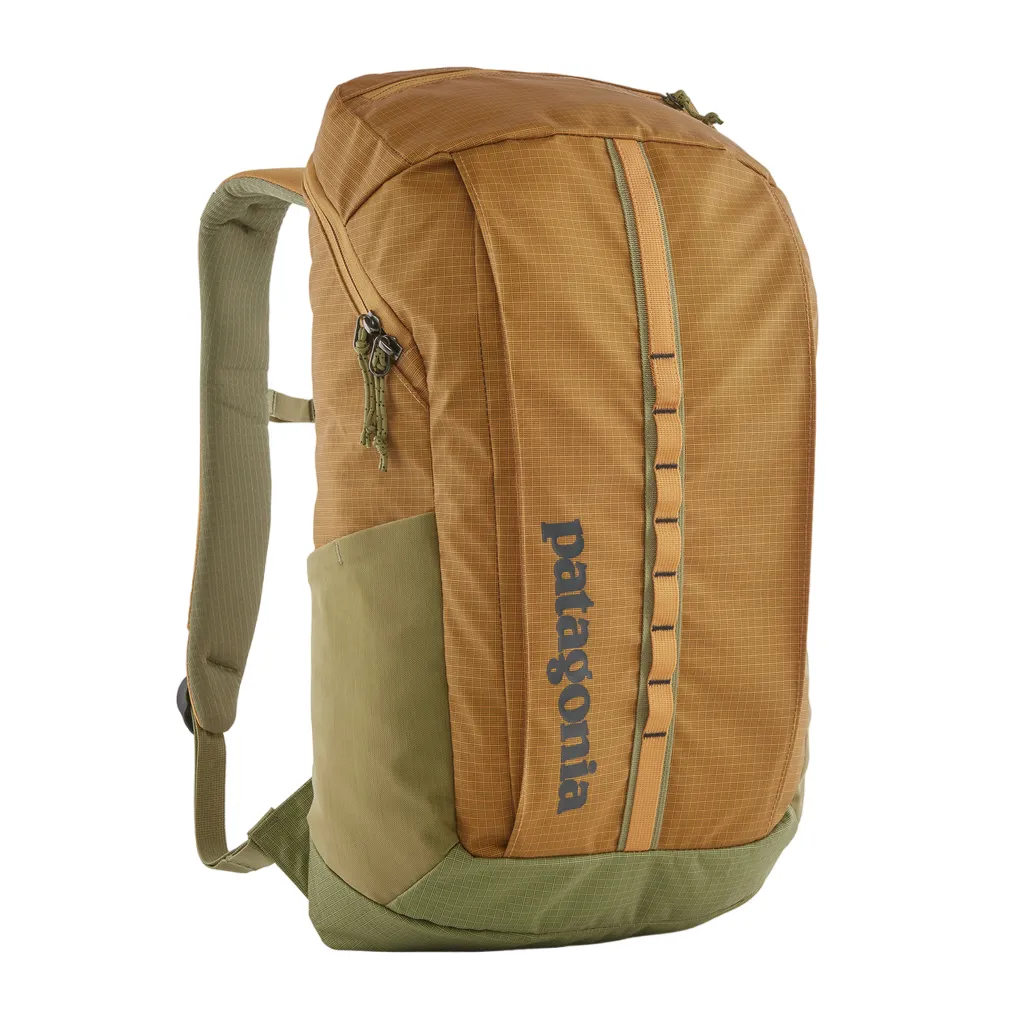 Patagonia Black Hole Pack 25L