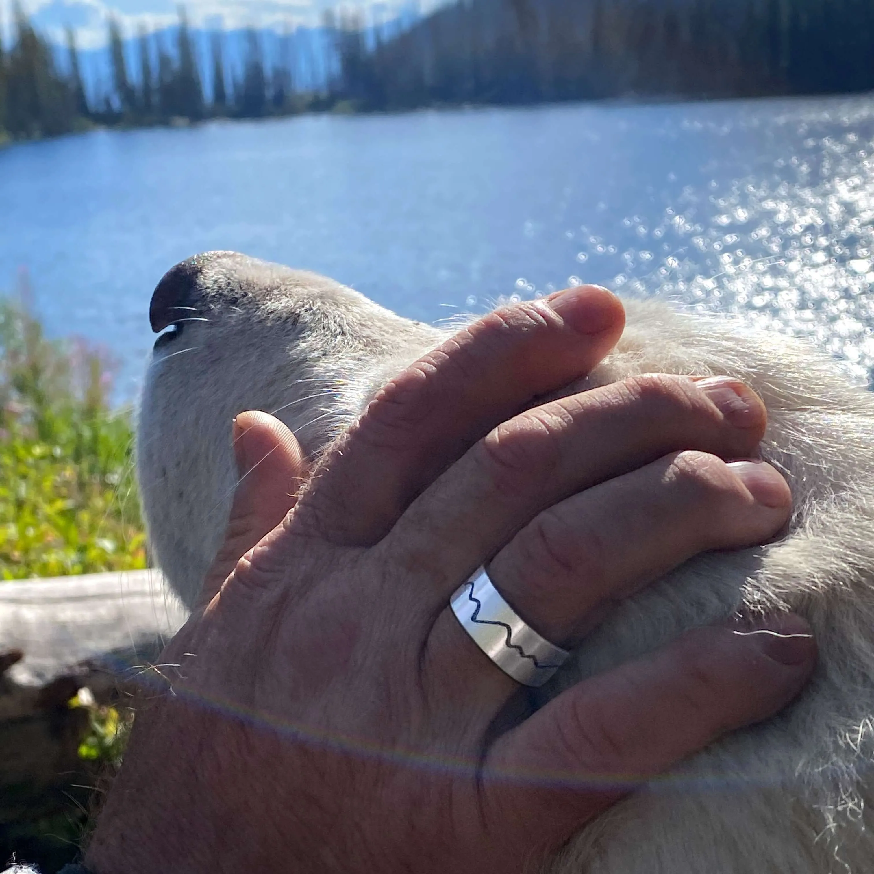 Simple Mountain Ring